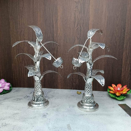 Antique Banana Tree 12"