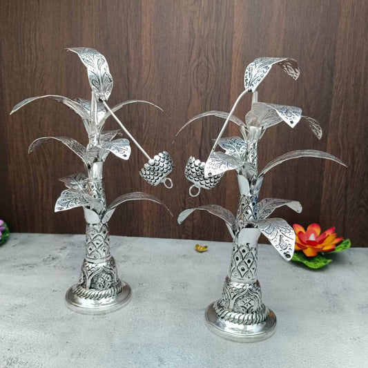 Antique Banana Tree 12"