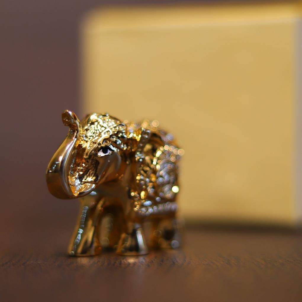 Elephant Gold Pair 2"